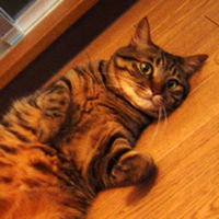 �u���ˁv�̏Љ�y�[�W��